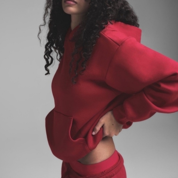 SKIMS NWT Cotton Fleece Classic Hoodie Size 2X/ color Brick - Picture 3 of 4